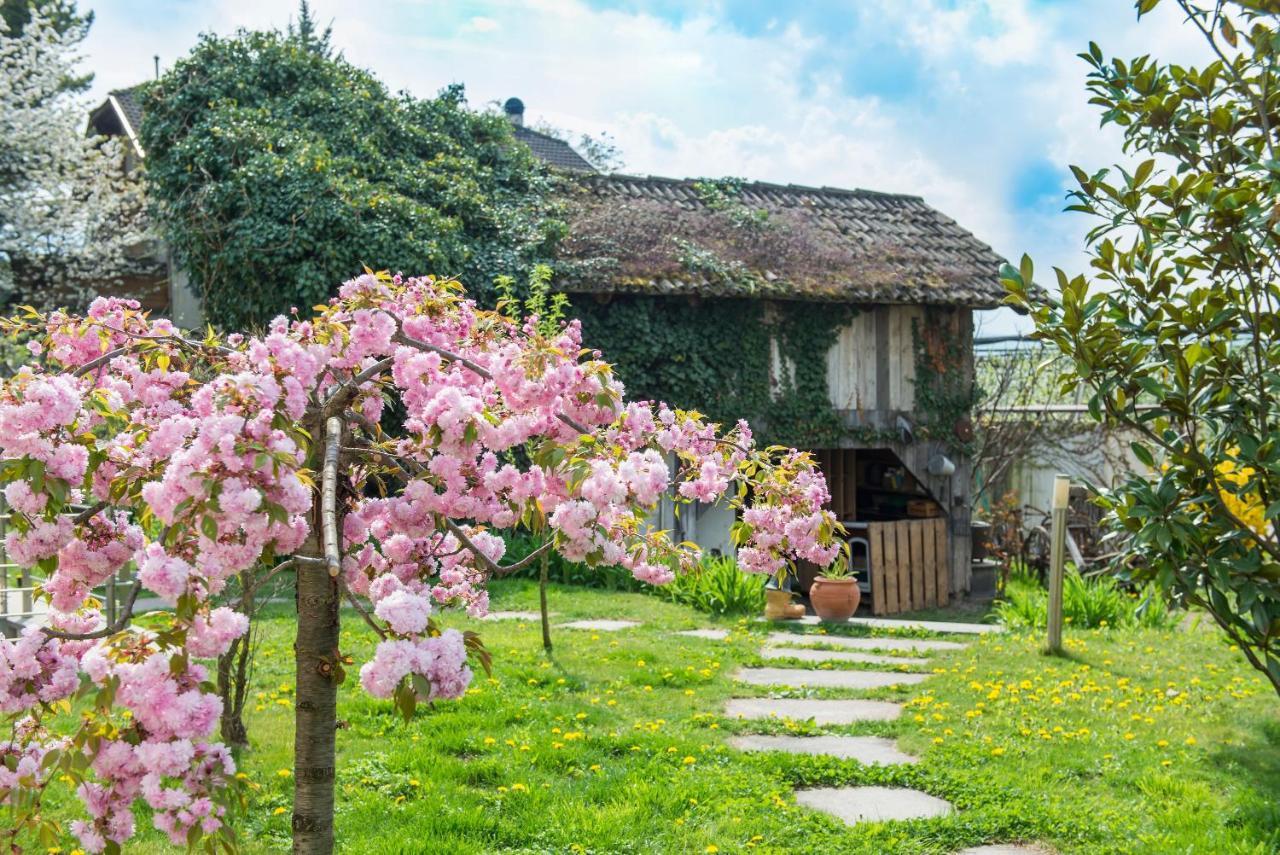 Villa Sonnenschein Terlan Exterior foto